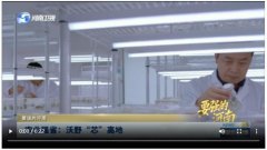 构成“一园多区”的协同生