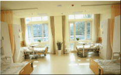 法、绘画、摄影、英语、计较机等