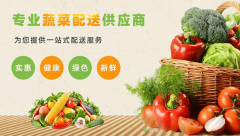 <b>食物运营许可证、道运输许可证等天分是开展营</b>